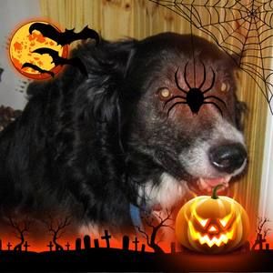 Meet your Posher, Arla